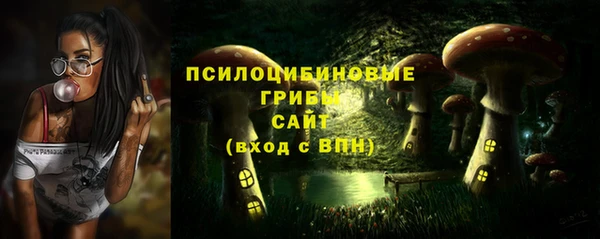 ALPHA-PVP Аркадак