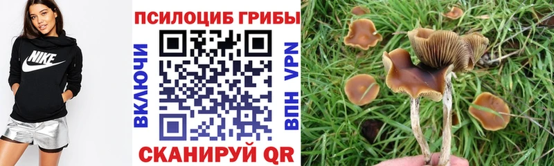 Галлюциногенные грибы MAGIC MUSHROOMS  купить наркотики сайты  Кинель 